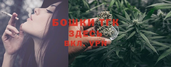 mdpv Новозыбков