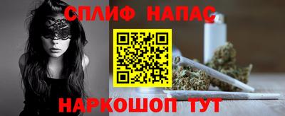 СК Дубна