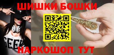 СК Дубна