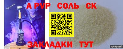 СК Дубна