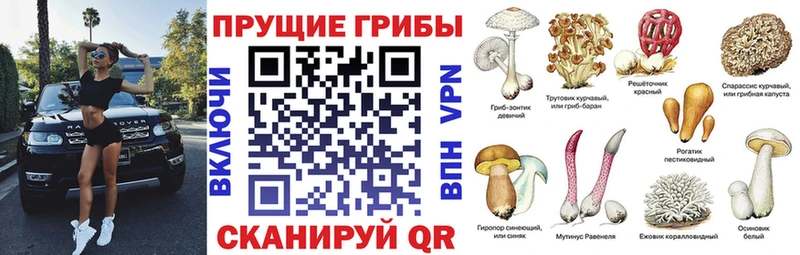 МЕГА рабочий сайт  Азов  Галлюциногенные грибы мухоморы 