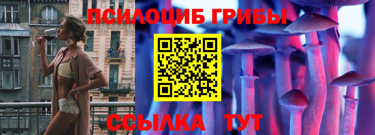 Галлюциногенные грибы Magic Shrooms  как найти закладки  Азов 