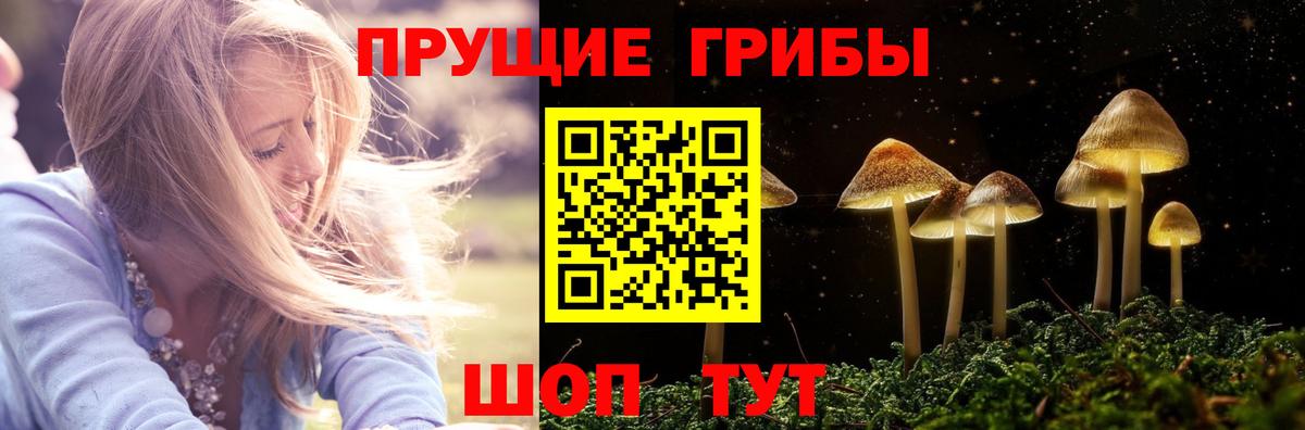 где продают наркотики  Галлюциногенные грибы мухоморы  Вход с VPN  Галлюциногенные грибы Psilocybine cubensis  Азов 